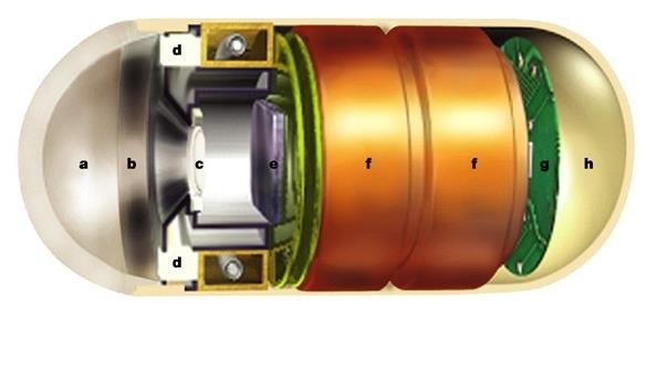 Вот что в капсуле