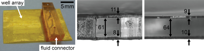 Рисунок 2 : Фотография (слева) и микроскопические изображения сечений конечных чипов
